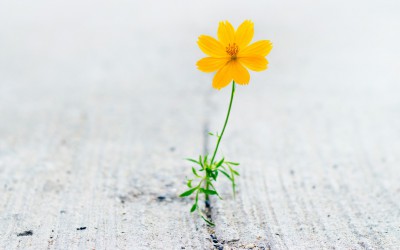 Mit mentaler Stärke gegen Selbstsabotage