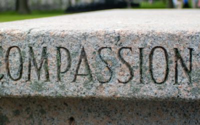 Das Wörter­buch irrt! – Weil Compas­sion mehr als (nur) Mitge­fühl ist!